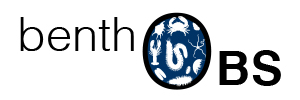 logo benthobs