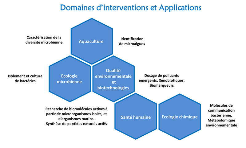OOB Bio2Mar domaines d'interventions et d'applications