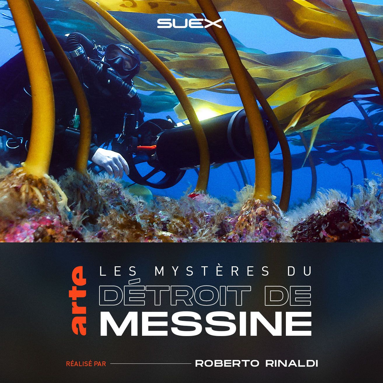 Documentaire détroit messine