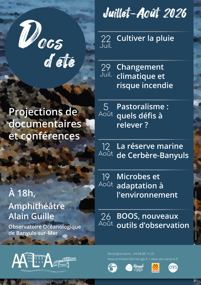 AALA affiche docs ete 2026 juillet/août