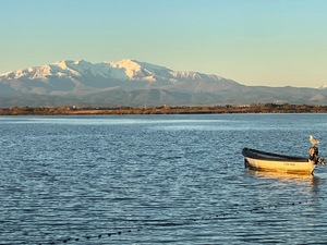 Lagune de Canet