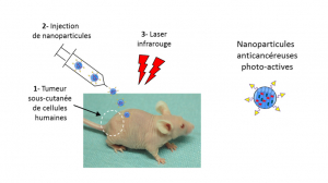 AALA nanoparticules