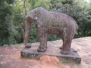 AALA elephant