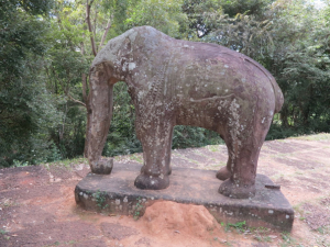 AALA elephant