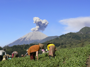 AALA Volcan