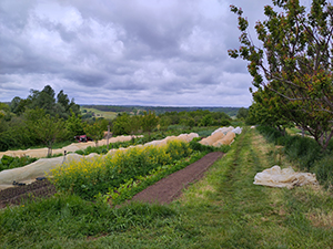 AALA agriculture biologique