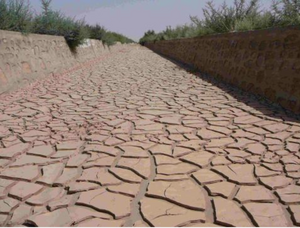 AALA changement climatique