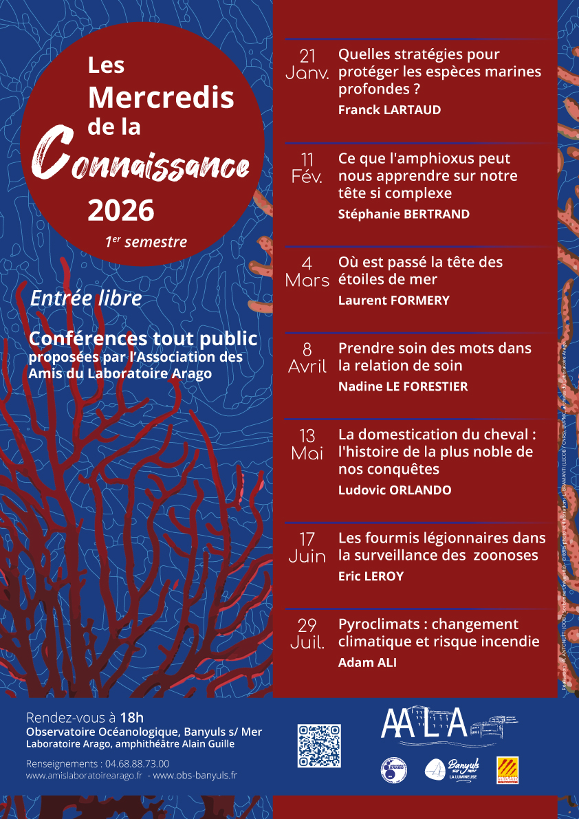 oob programme AALA 2026