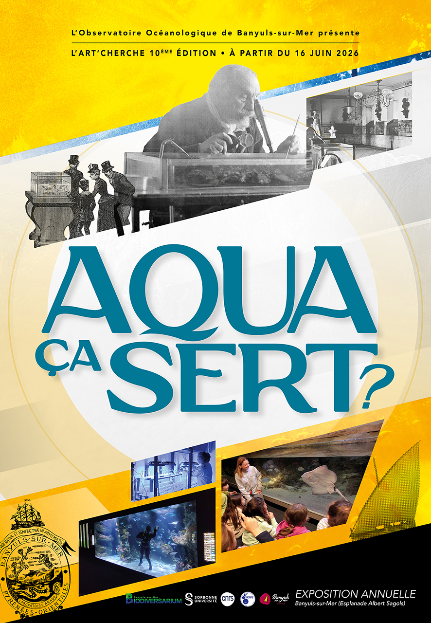 L'Art'cherche - Aqua ça sert ? - Affiche - 2026