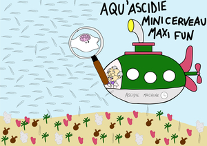 FDS Aquascidie Cecile LEBLOND