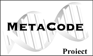 logo metacode