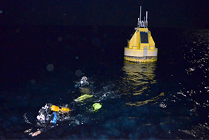 Echantillonnages de jour et de nuit pour caractériser la dynamique circadienne